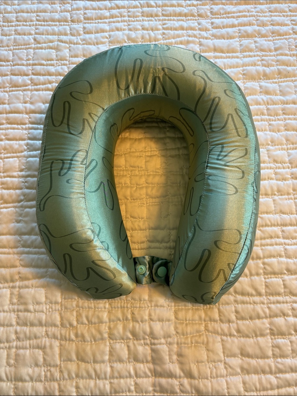 Lost + Wander Teal Travel Neck Pillow